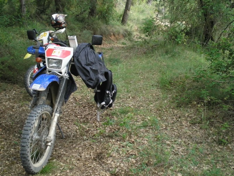 P6150561a [800x600]_jpg